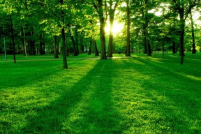 世界举重青年联赛选手科研与训练联合发表论文，举重 科技