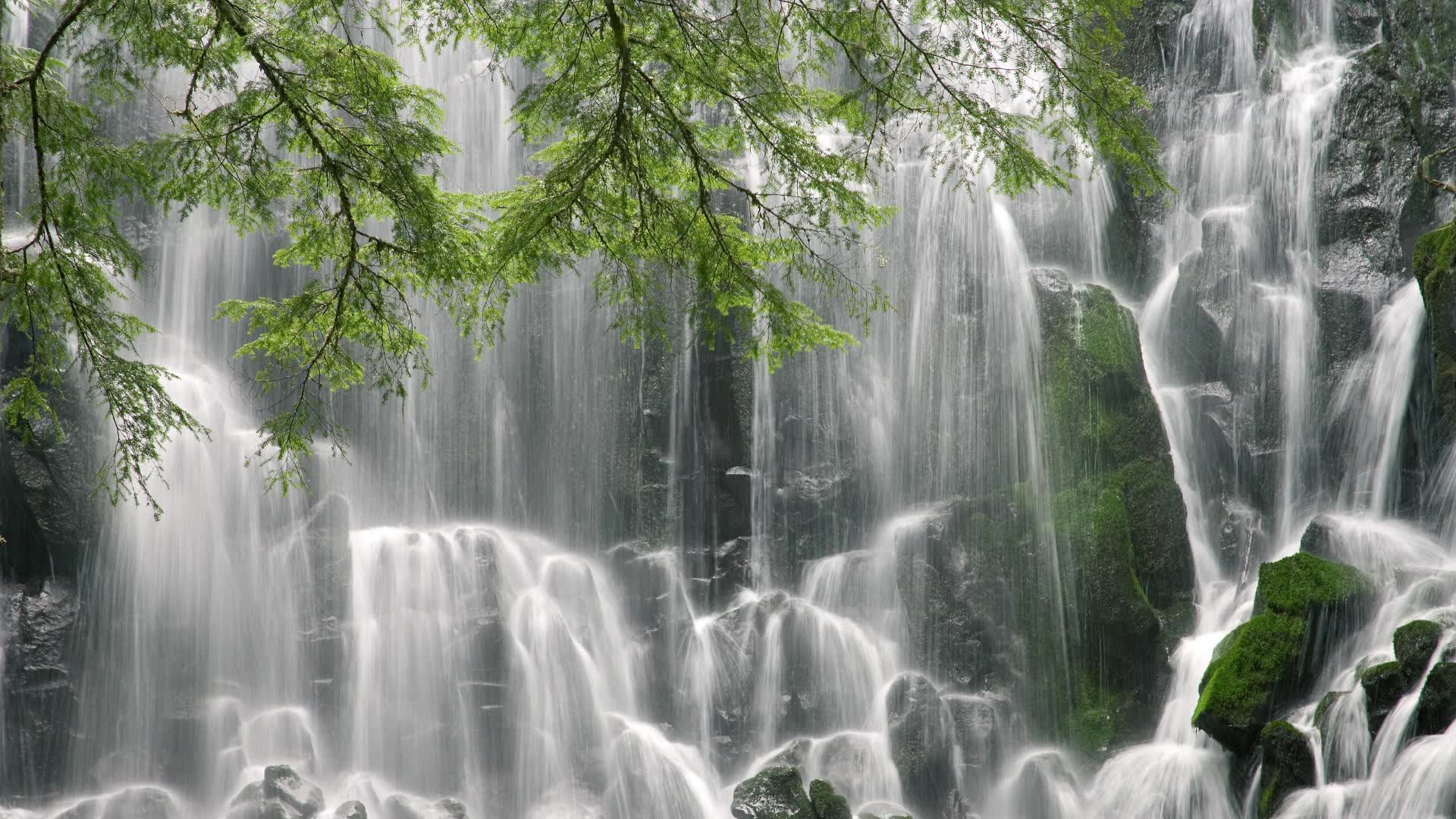 世界举重康复示范基地设备智能化维护试点成果发布，世界举重锦标赛